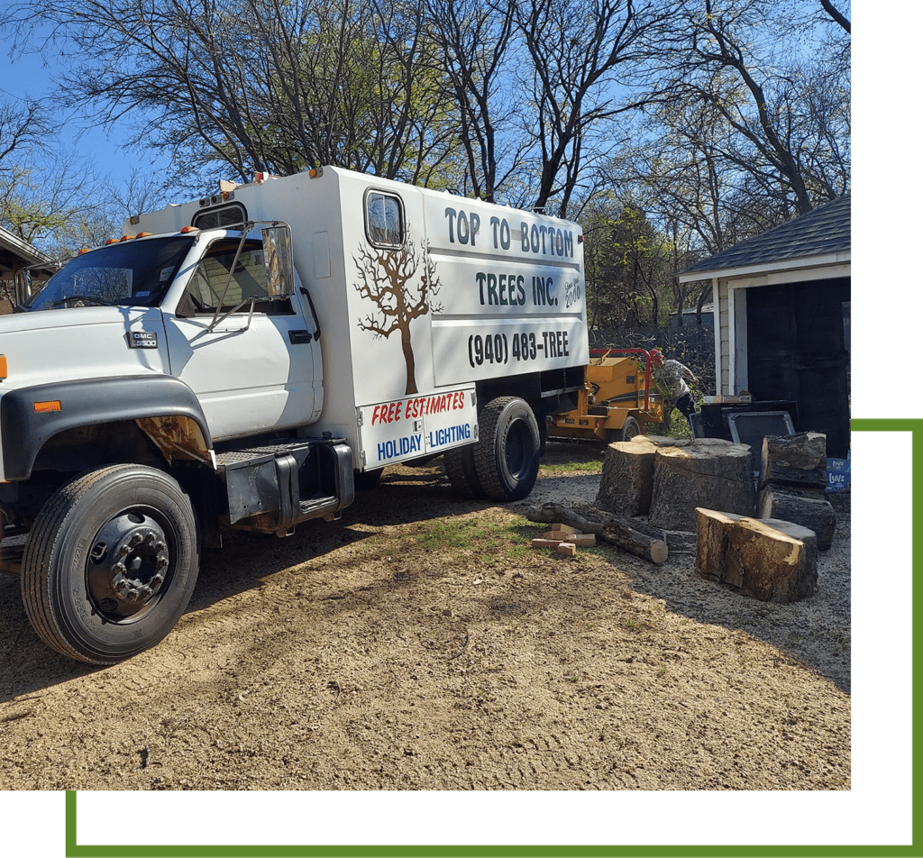 Services What We Offer at Top To Bottom Trees Inc